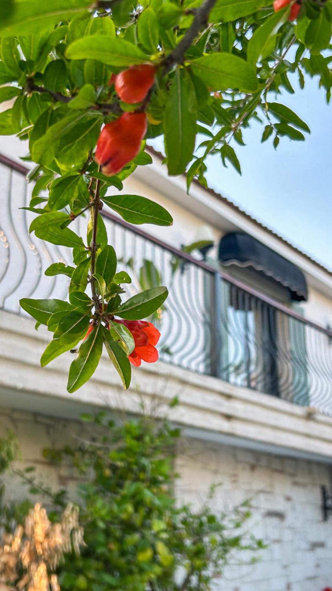 N Hotels Cesme Dalyankoy  Екстериор снимка